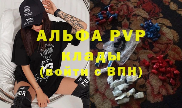 PSILOCYBIN Бронницы