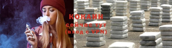 спиды Бородино