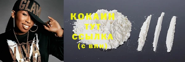спиды Бородино