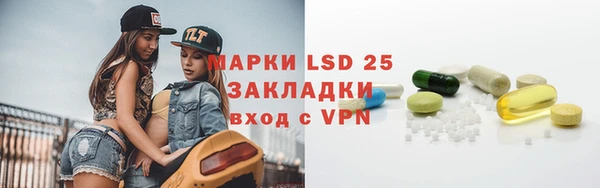 PSILOCYBIN Бронницы