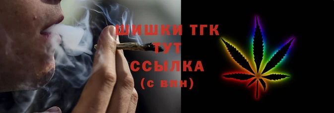 спиды Бородино